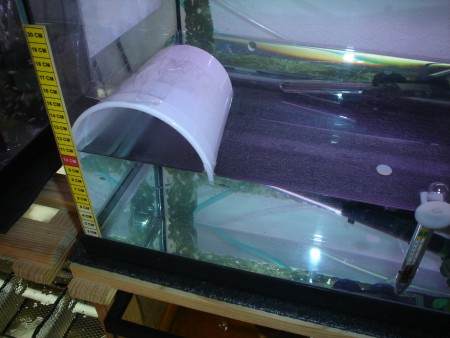 Aquario com copo para ninho