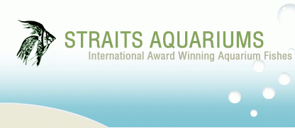 https://www.straitsaquariums.com/